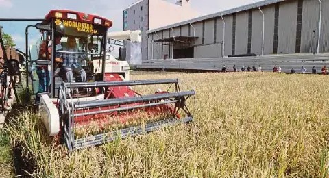 Aktiviti di Galeri Padi